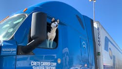 Crete Carrier National Dog Day 6128f659756f9 Crete Carrier National Dog Day 6128f659756f9