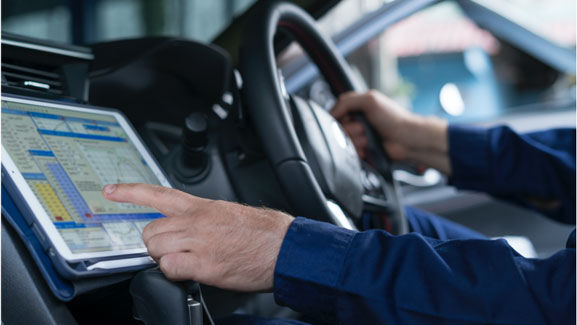 Blackberry Ivy 615c4e9d1adfd