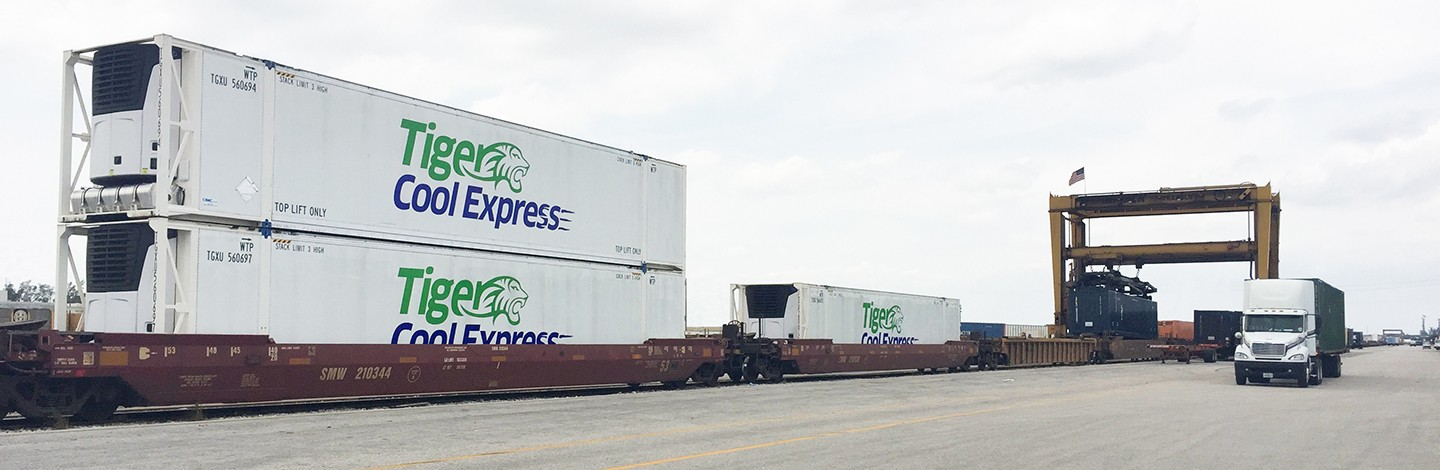 Tiger Cool Express Linked In 6176cb79ea075