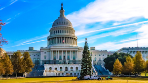U s Capitol Christmas Tree