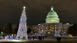 U s Capitol Christmas Tree Lighting