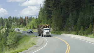 Logging Truck In Woods Dreamstime Xxl 6832524