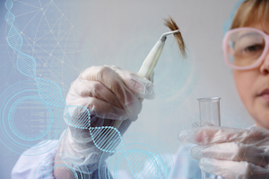 Dreamstime Xl 166124516 Hair Testing