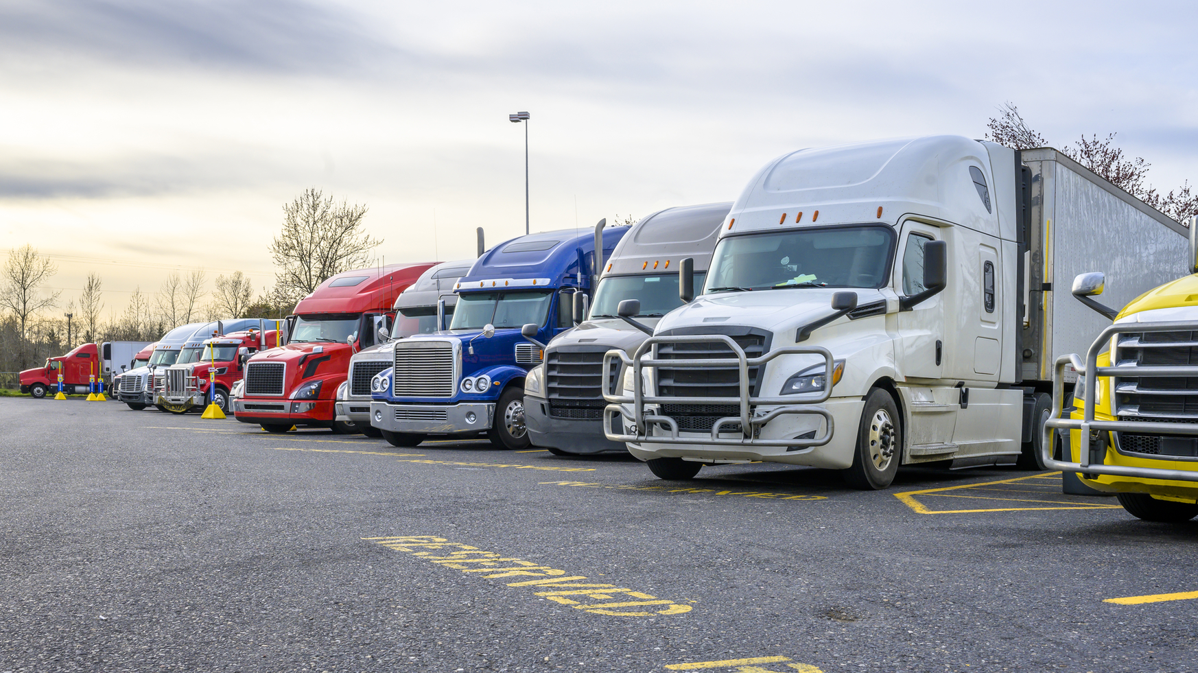 Dreamstime M 177079650