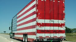 Dreamstime Xl 11323492 62bec0bf85331 Dreamstime Xl 11323492 62bec0bf85331