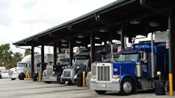 Dreamstime Xl 241512493 Hans Koster 62f3e4e494a07 Dreamstime Xl 241512493 Hans Koster 62f3e4e494a07