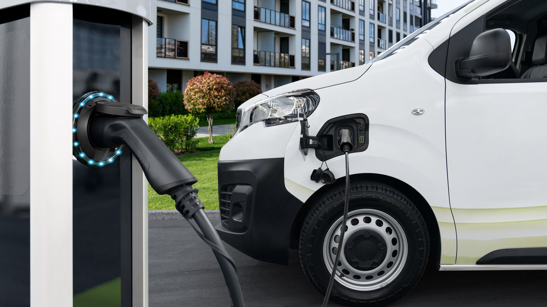 Dreamstime L 249005382 63347447ea9d6