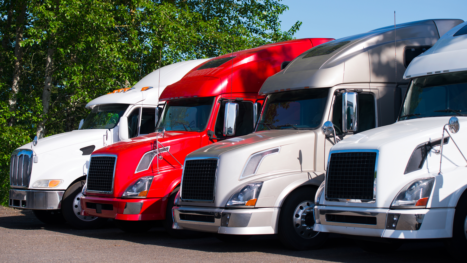 Dreamstime M 68666934 63512d8561072