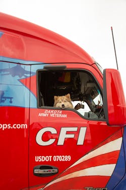 Cfi Ride Along Pup Cfi Ride Along Pup