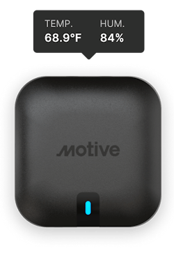 Motive Image 1 Motive Image 1