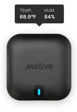 Motive Image 1 Motive Image 1