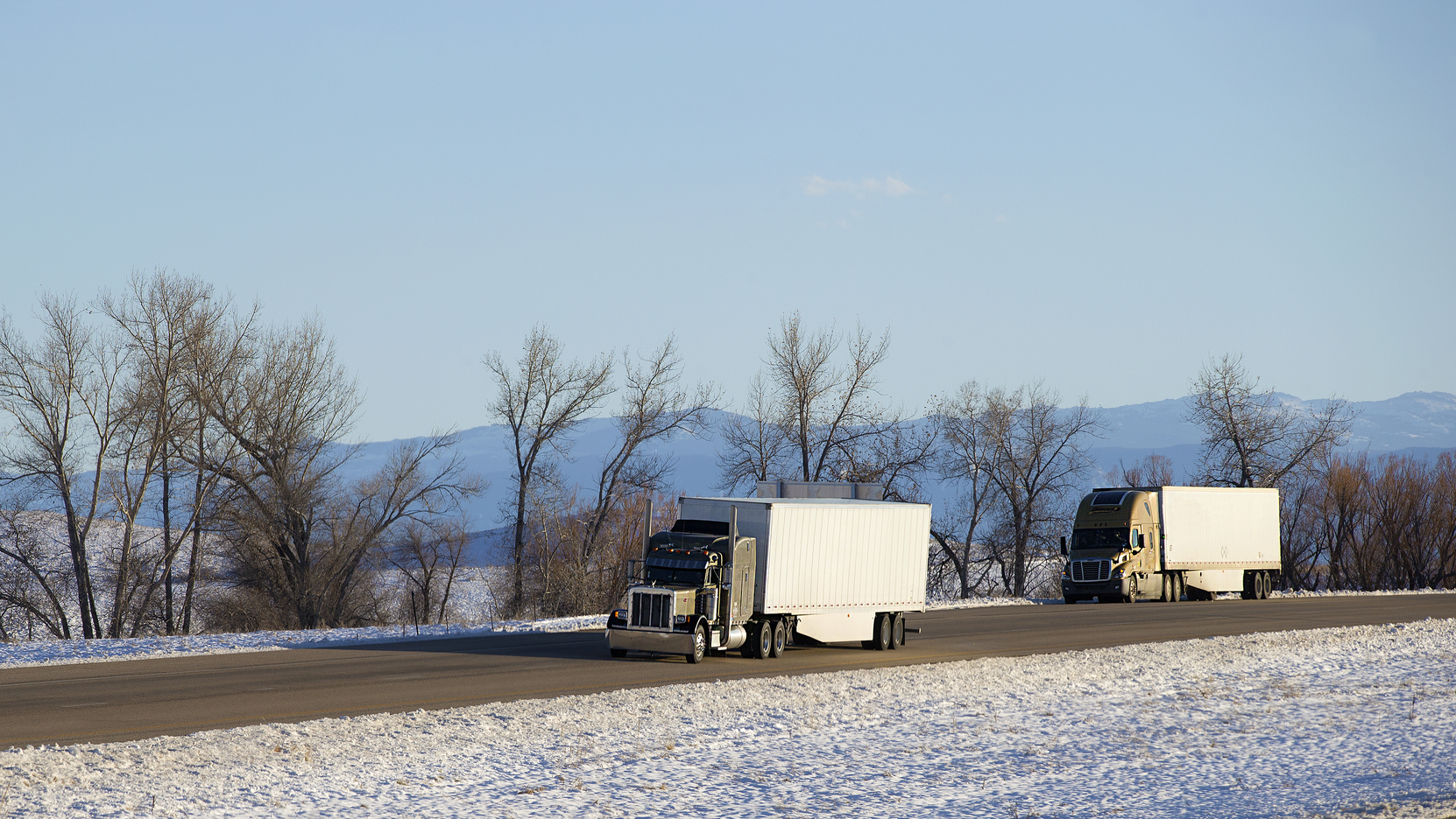 Dreamstime L 114433509 63920dbc22f38 6393388ee2269