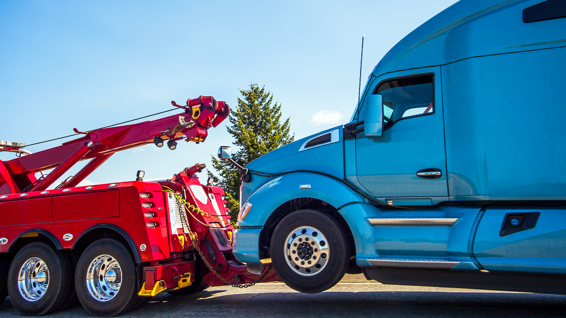 Dreamstime M 137147590 1 639b44641c8de