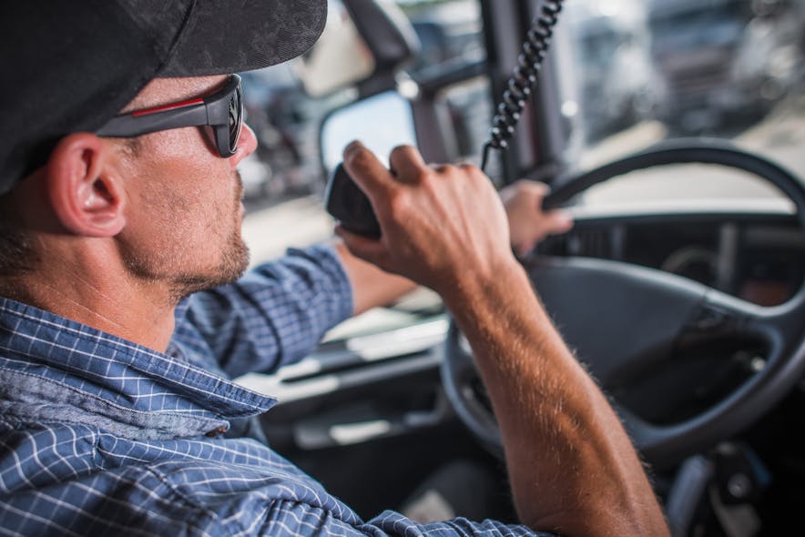 Professional Truck Driver 141998115 Welcomia Dreamstime