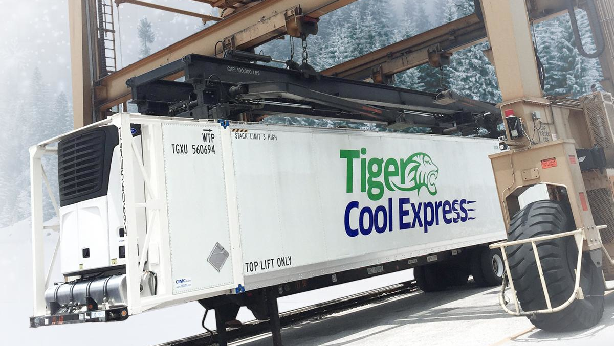 Tiger Cool Trailer Linked In 63d92c7bc8ab8