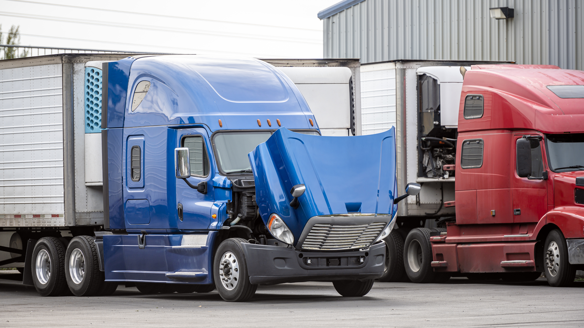 Dreamstime Xxl 162457904 63d3f210d68b3