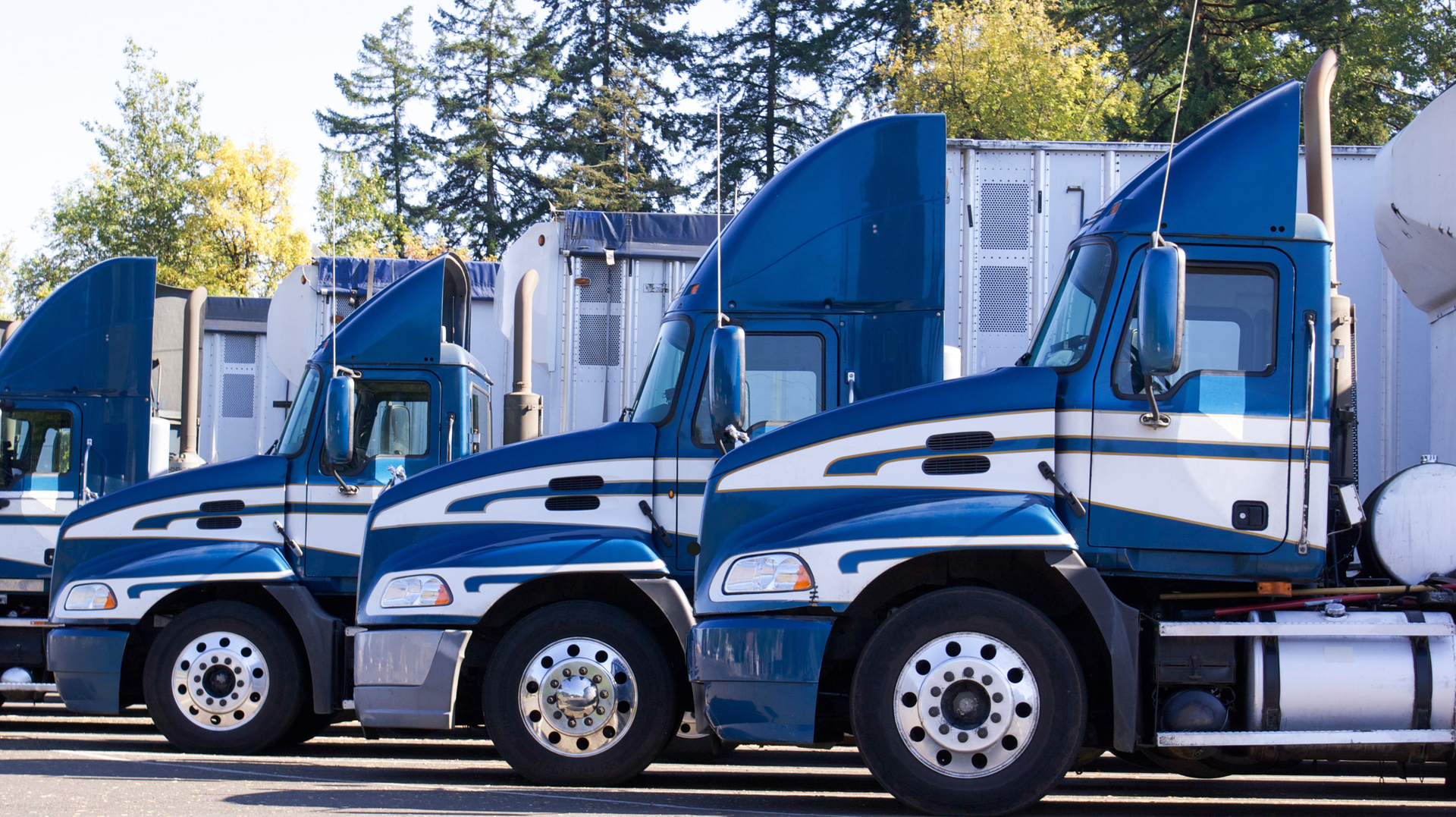 Dreamstime Xxl 71105812 63cefa5769f30