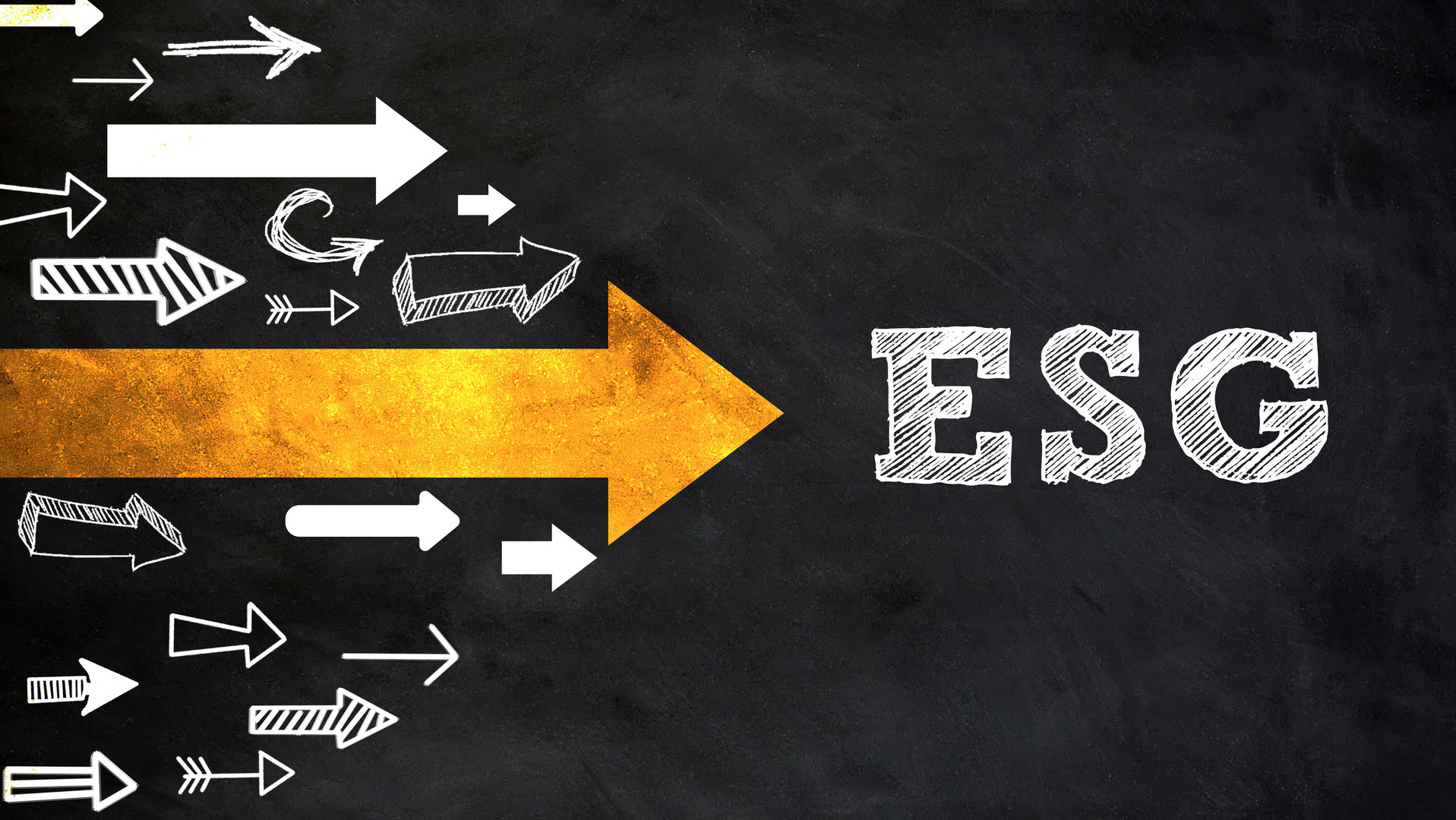 Dreamstime Xxl 227863401 63e1207264e00