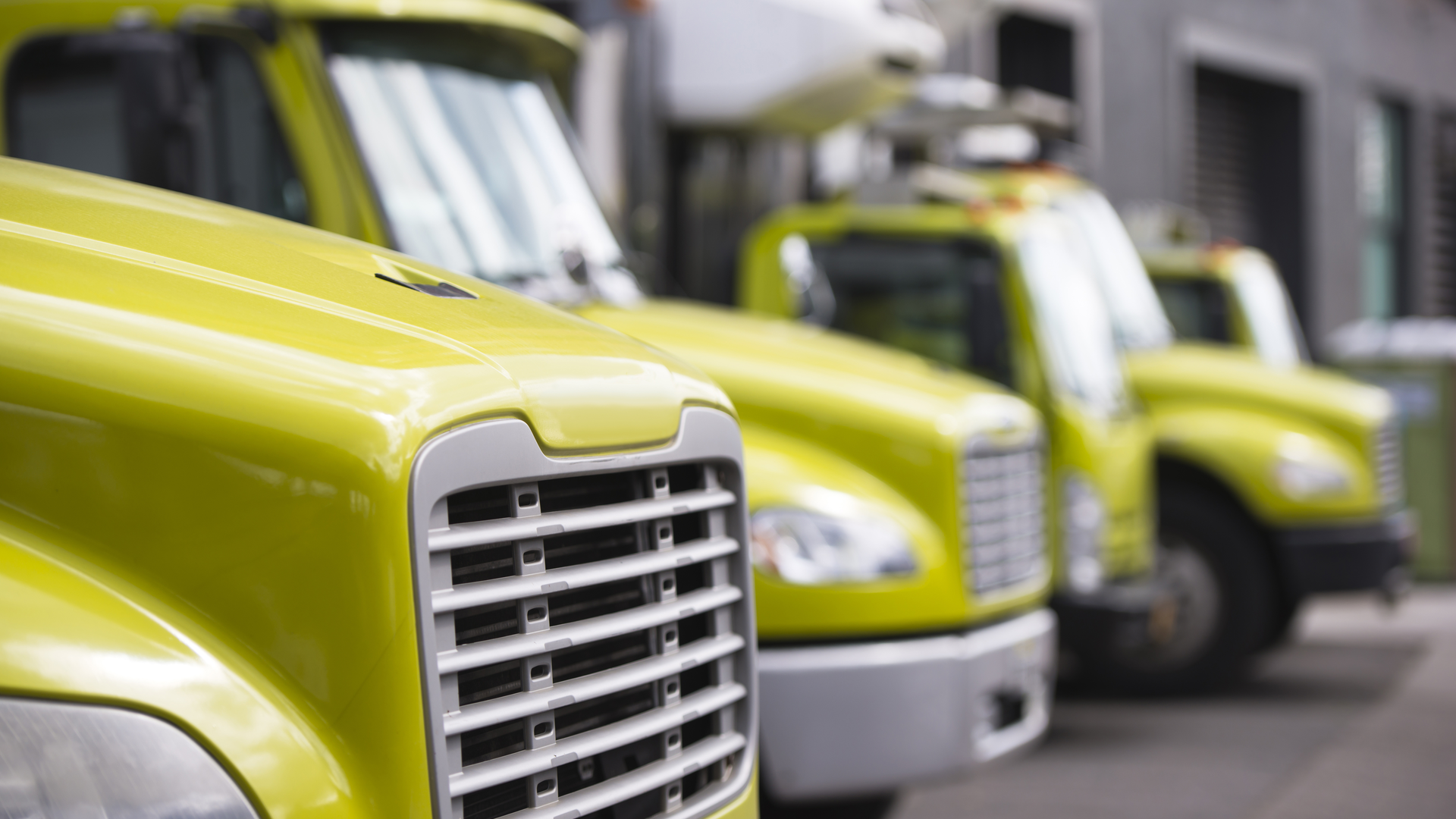 Dreamstime Vitpho 115267601 64064aaad33b0