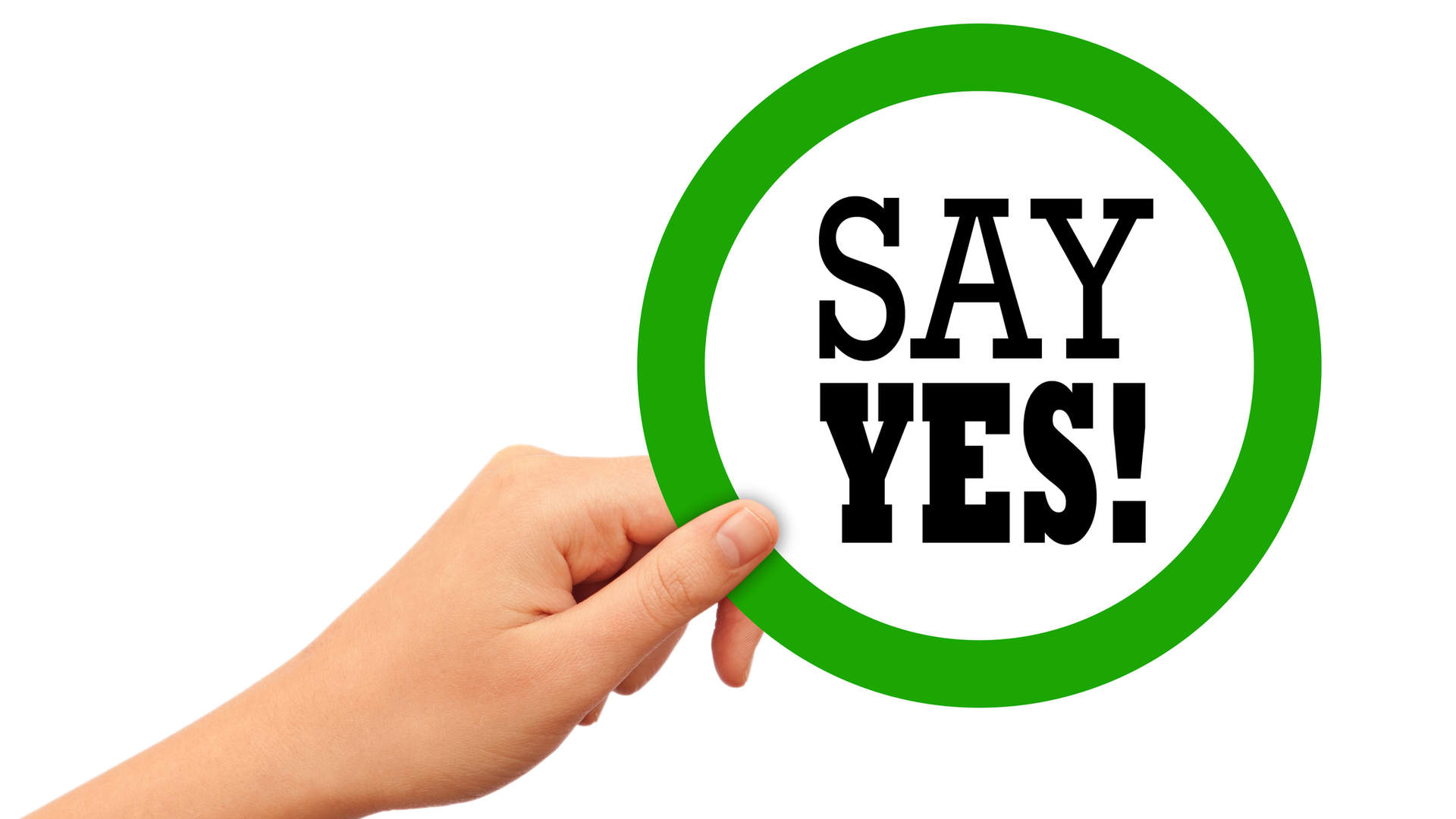 Dreamstime M 44982646 6402177d43836