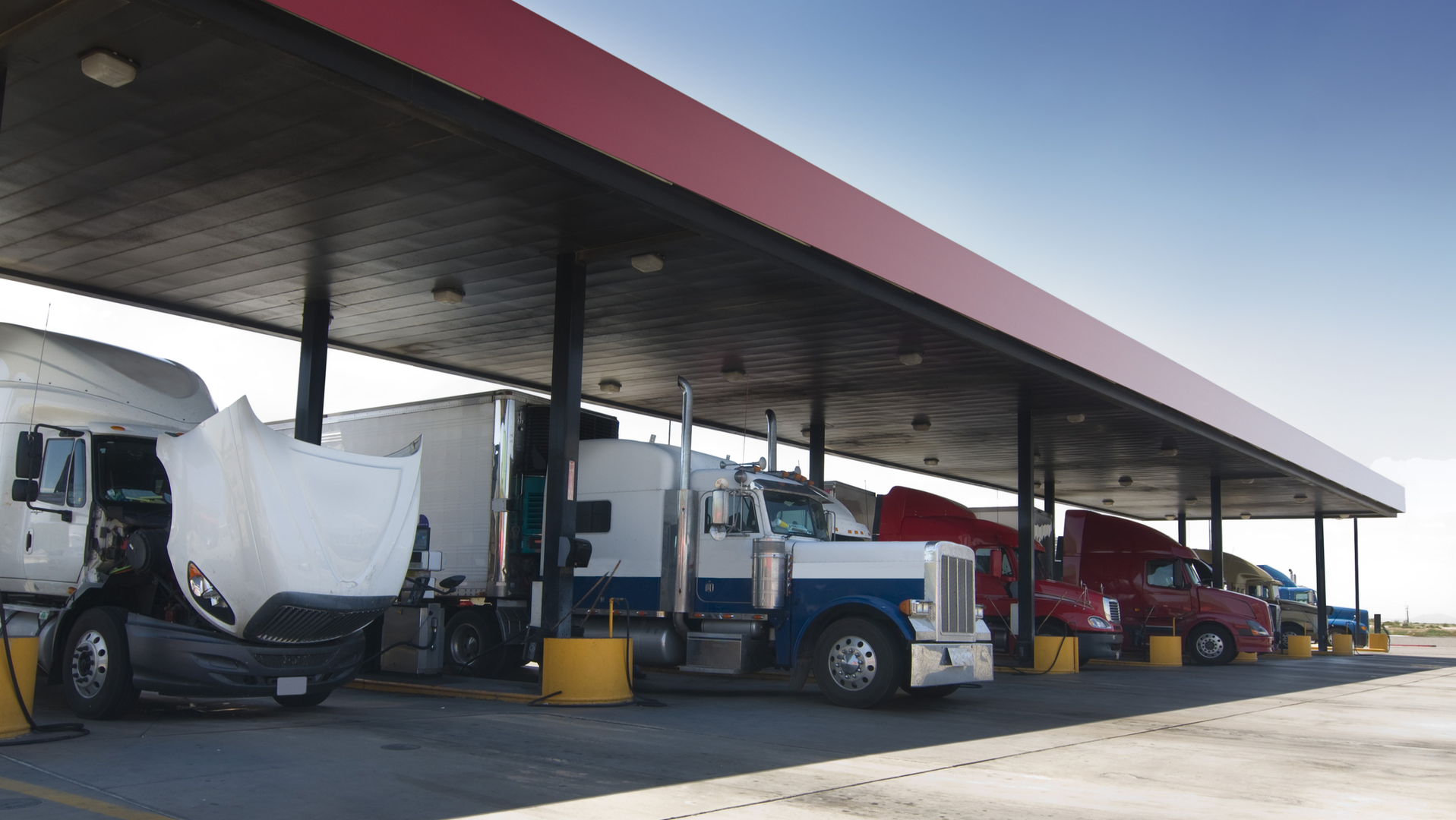 Dreamstime M 5500778 640b9844263bc