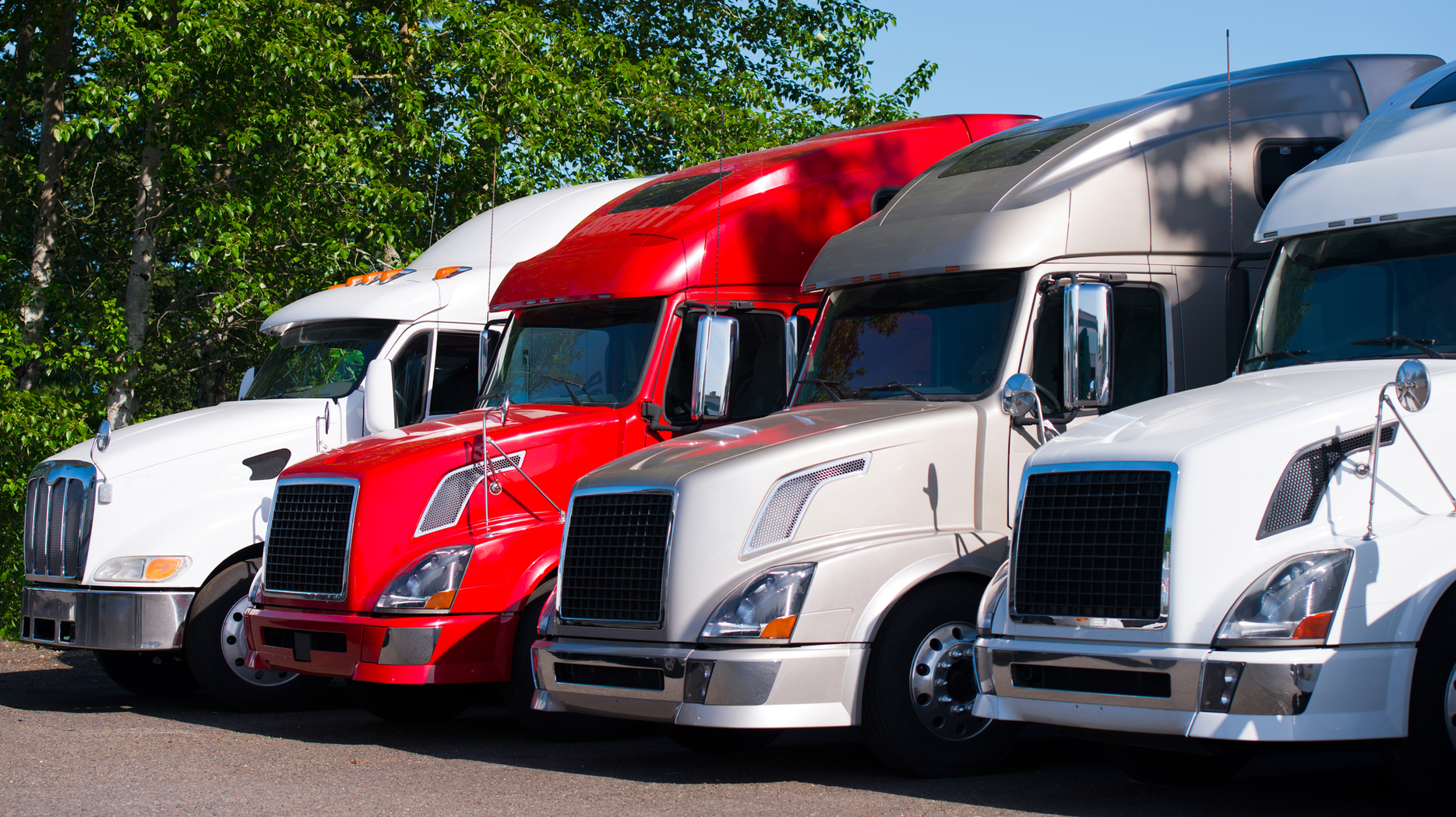 Dreamstime M 68666934 2 6424b0eeacf39