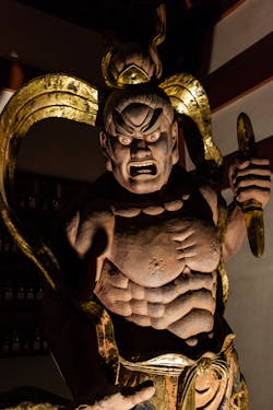 The Nio is named after the imposing statues found guarding Buddhist temples. Nio “guardians” are installed within outdoor facilities such as vehicle dealerships, body and repair shops, construction sites, agriculture facilities, and commercial building exteriors. The Nio is named after the imposing statues found guarding Buddhist temples. Nio “guardians” are installed within outdoor facilities such as vehicle dealerships, body and repair shops, construction sites, agriculture facilities, and commercial building exteriors.