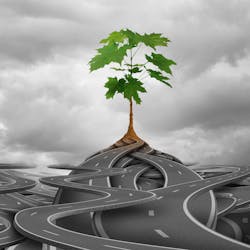 Dreamstime Xxl 169210001 Dreamstime Xxl 169210001