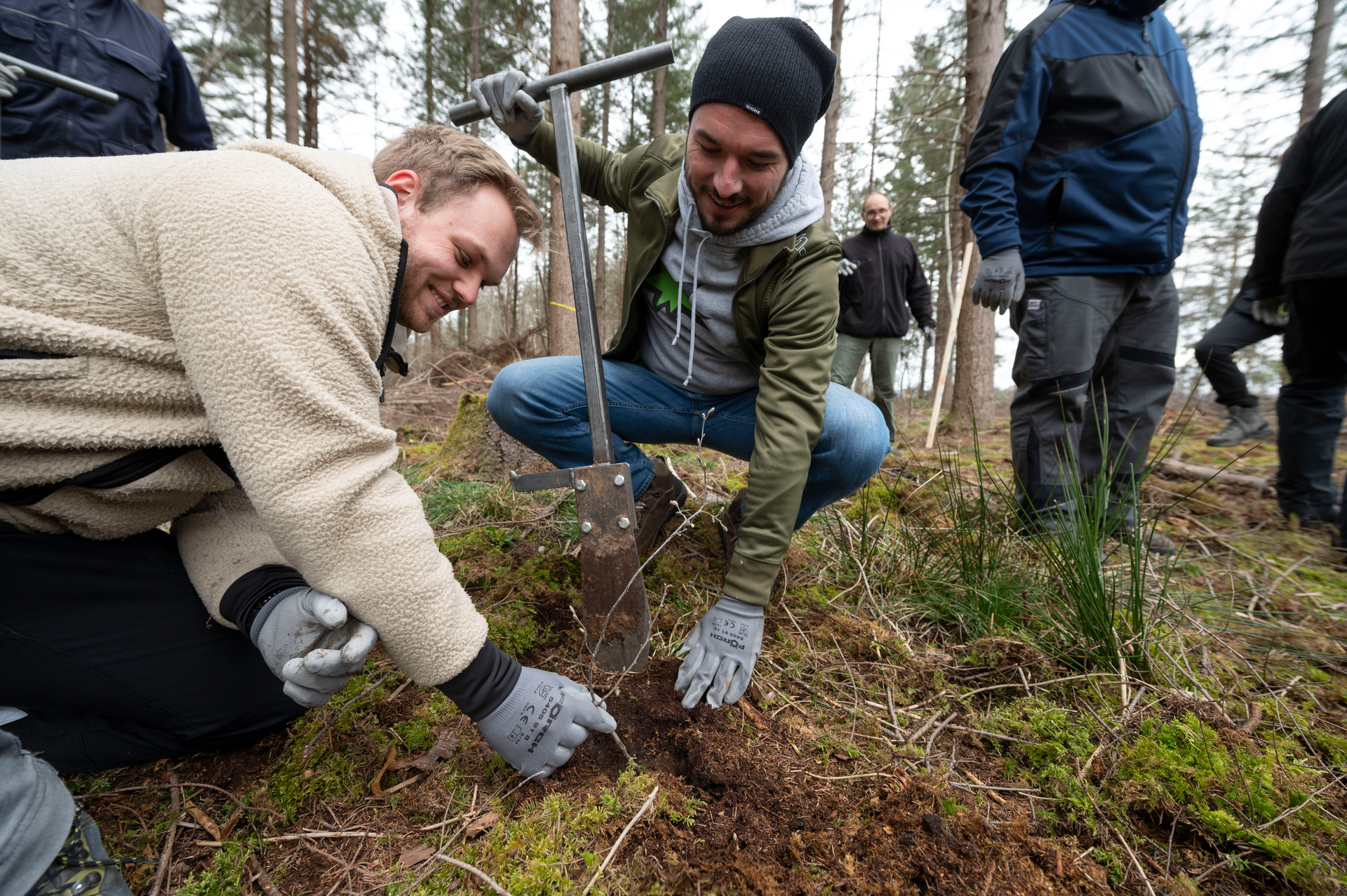 Daimler Truck employees plant trees for near-natural reforestation. Two-day campaign is part of the &ldquo;Daimler Truck Cares&rdquo; initiative and supports the nature conservation organization Bergwaldprojekt e.V.