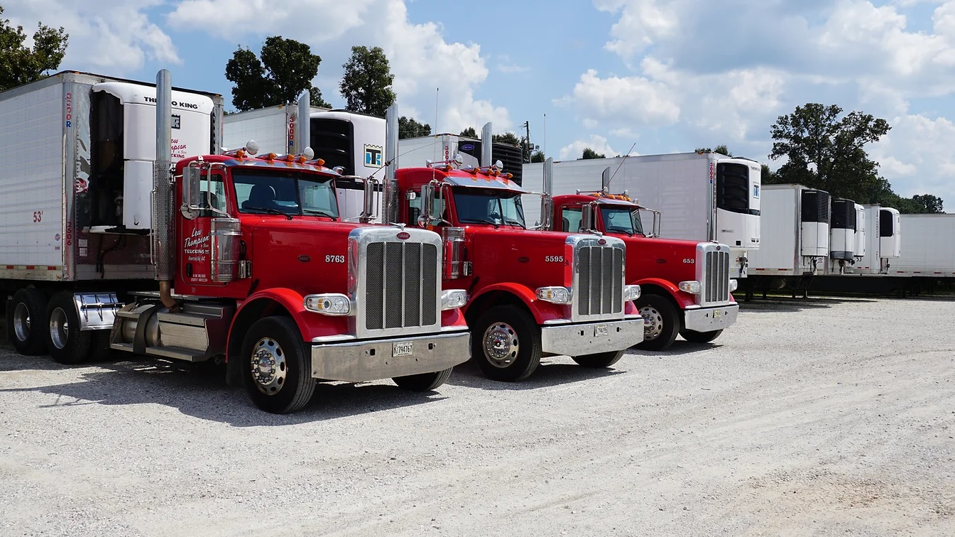 Lew Thompson Reefers 6451281ec4cc1