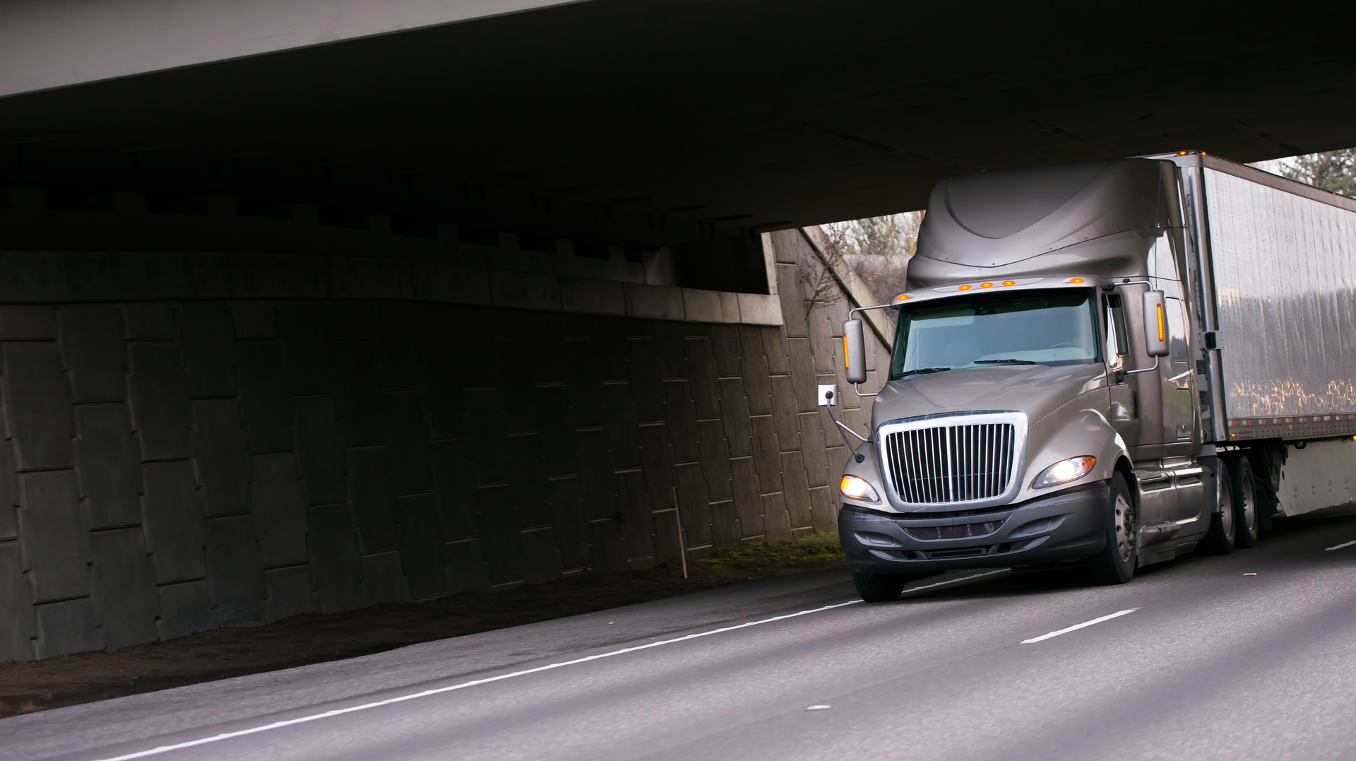 Dreamstime Xxl 49976330 646e2d3bdfd4e