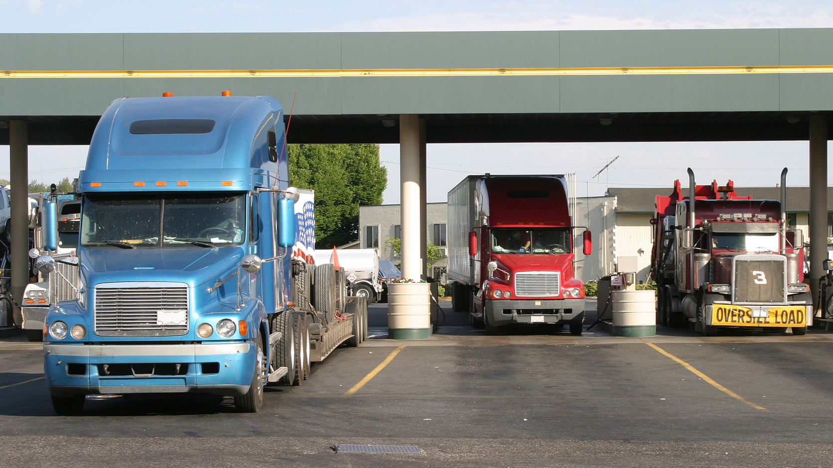 Dreamstime M 803641 4 64921c1703e1b