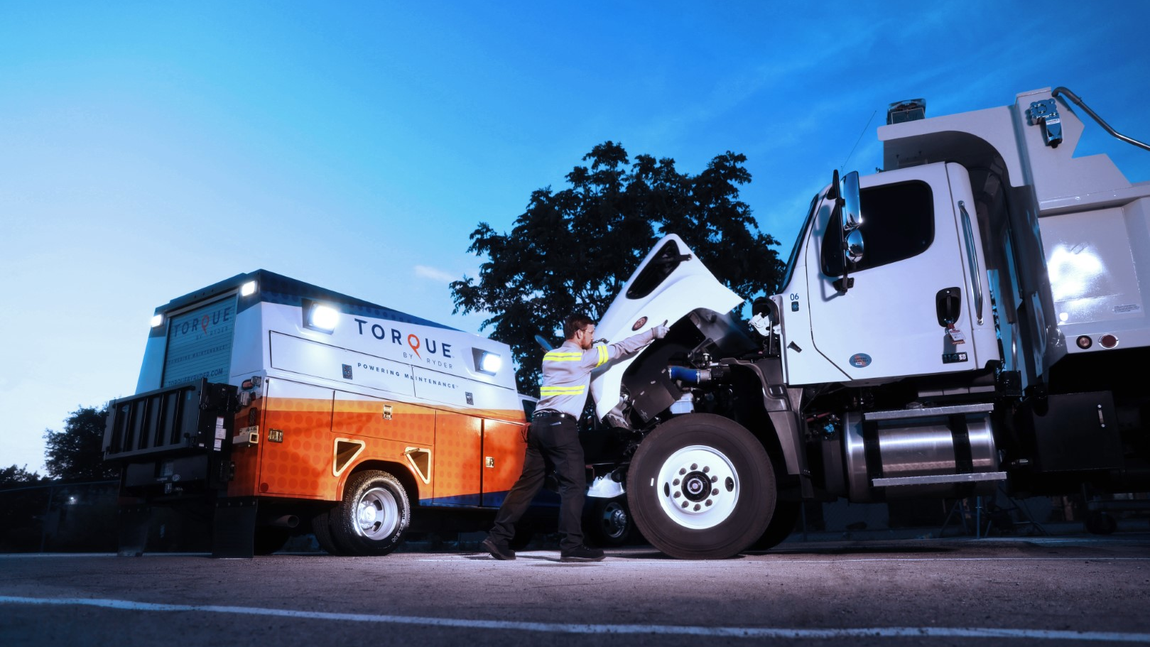 Torque By Ryder 1 Large 64b1bae434a8c