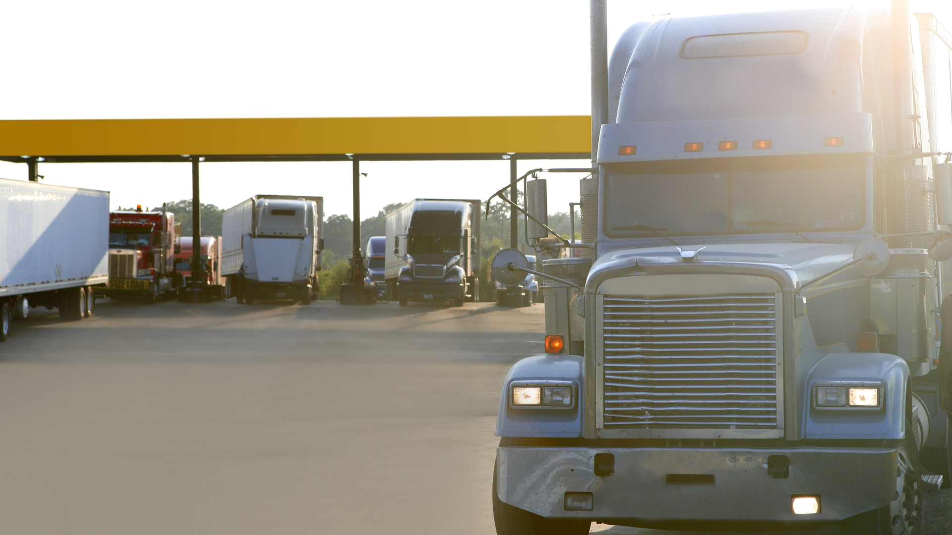 Dreamstime M 11474491 64c7cf4a6e84f