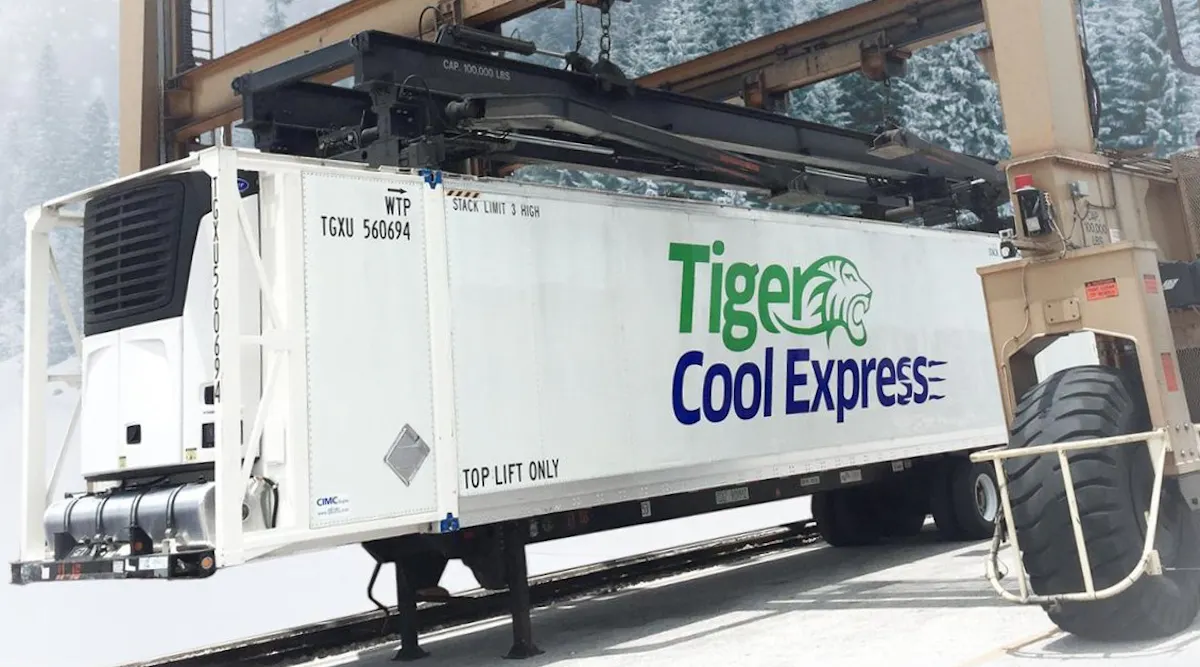 Refrigerated intermodal containers up for sale after Tiger Cool Express ...