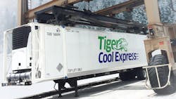 Tiger Cool Container 64df74dbad7df Tiger Cool Container 64df74dbad7df