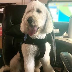 FirstNet “ROG the Dog” Hoku at the Maui Dispatch Center FirstNet “ROG the Dog” Hoku at the Maui Dispatch Center