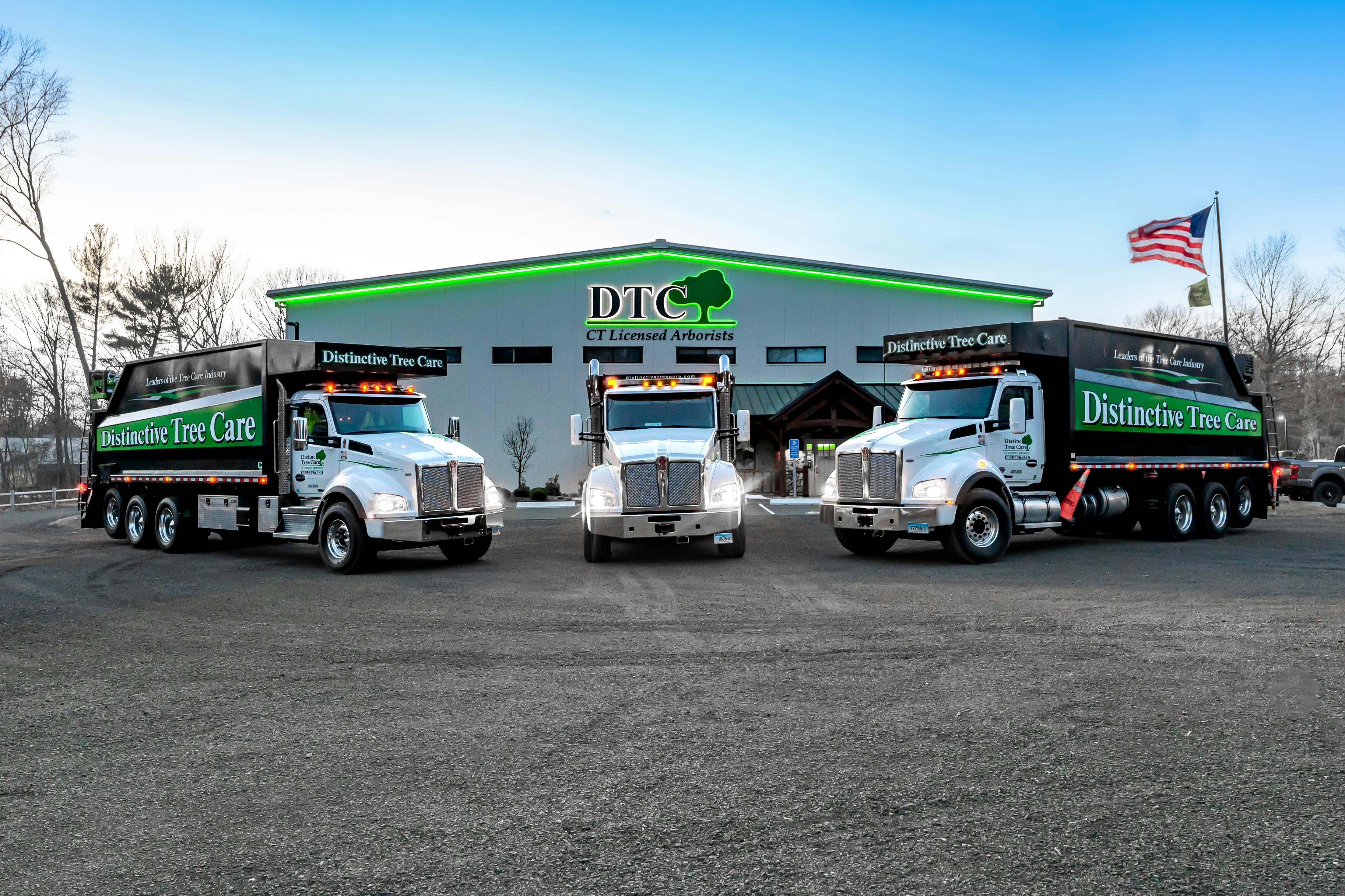 El Monte Commercial Tree Removal Service thumbnail