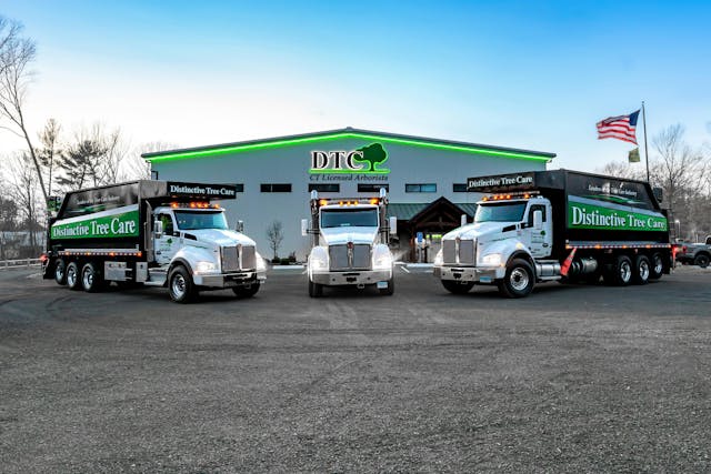 Palm Tree Trim El Monte, CA