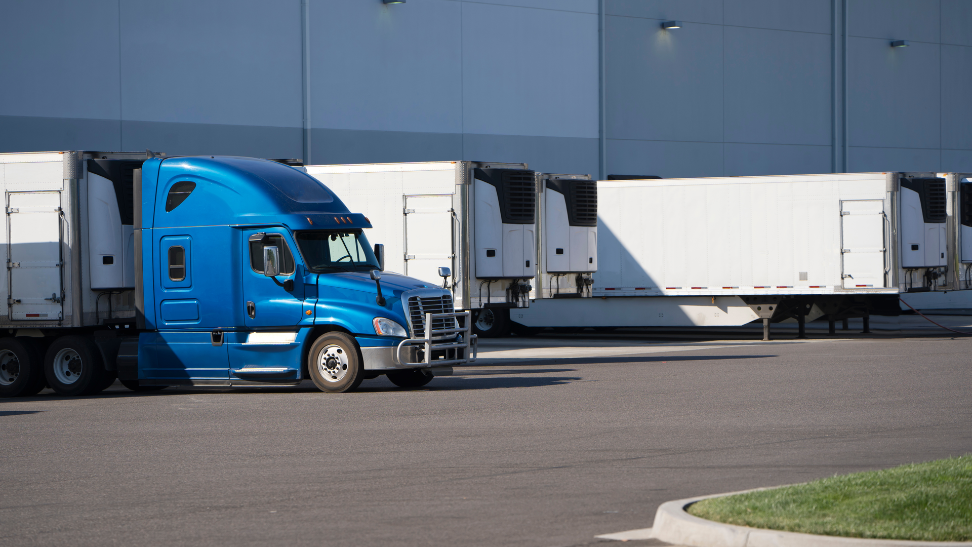 Adobe Stock 221049131 64ff20c229e58