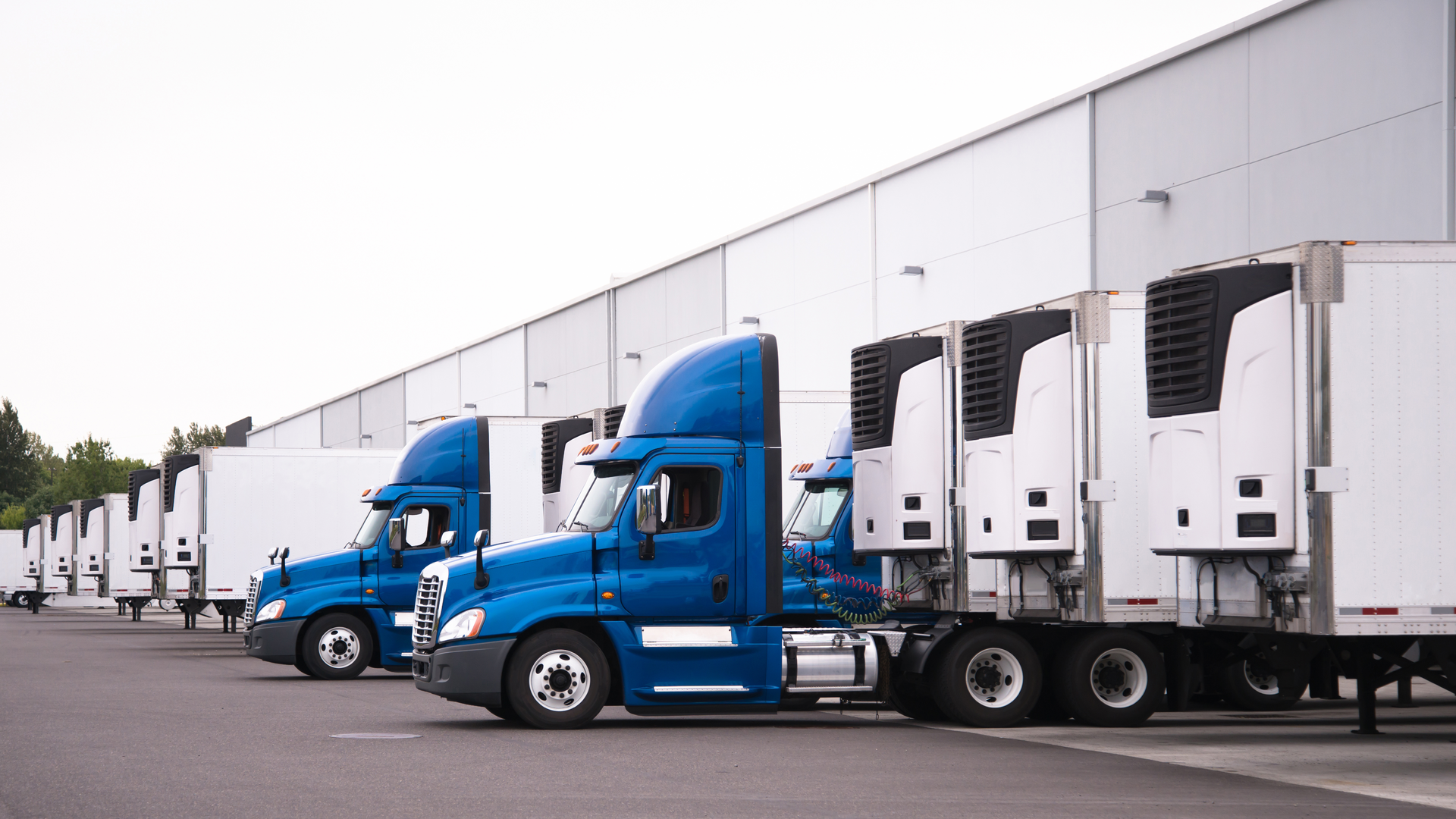 Rate relief? Not for reefer carriers—or shippers, per FTR food
