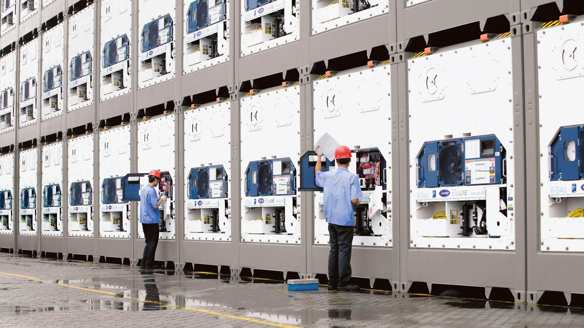 Carrier Transicold Eliteline Units In Yard 65301f9913638 65367296e132c