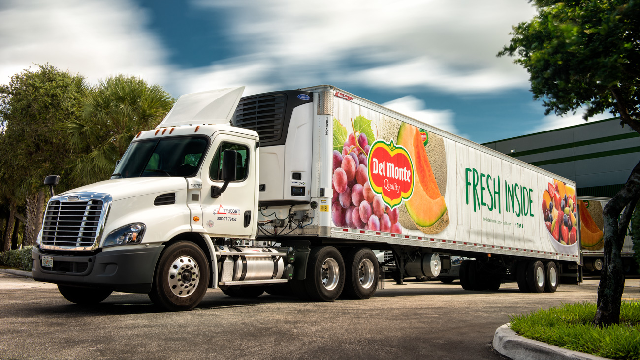 Rmo 7850 Editrmstudiocorp 651ad47b6ca8c