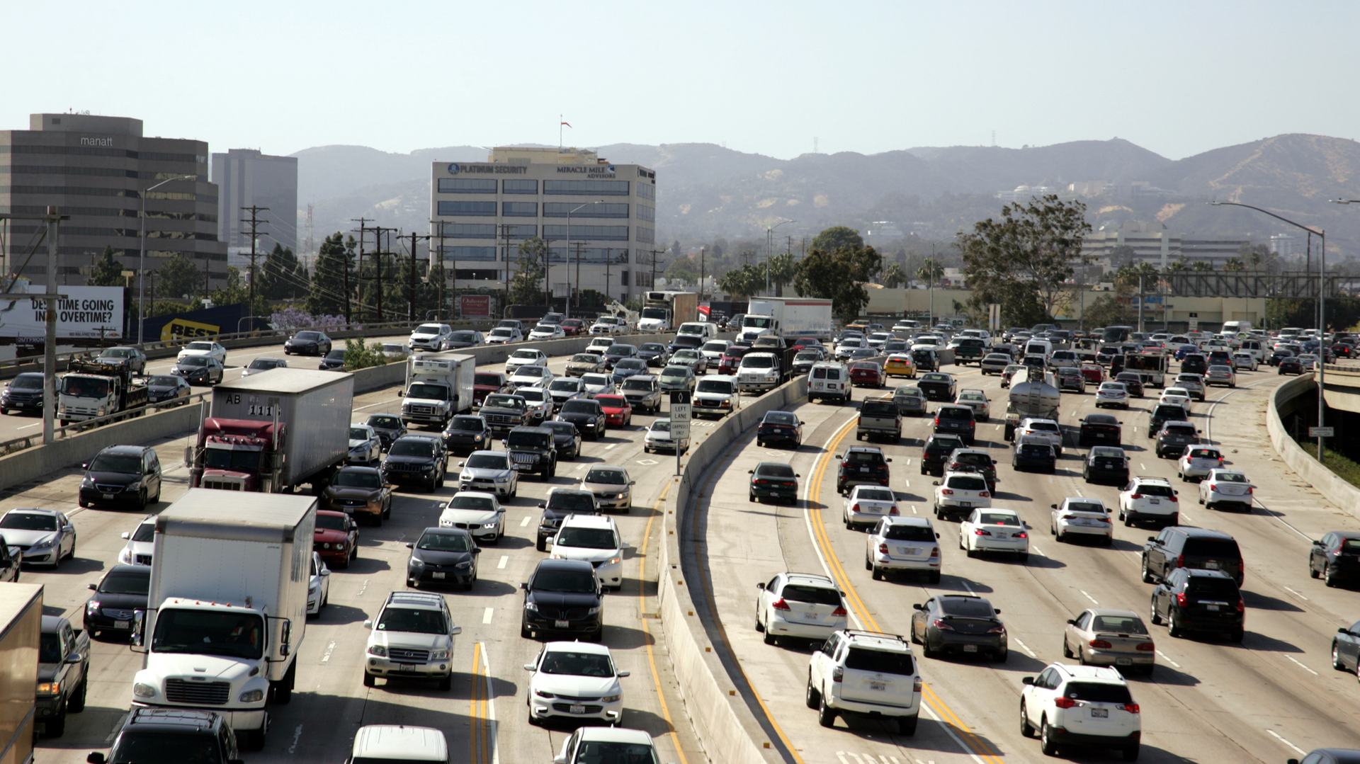 Dreamstime M 113770849