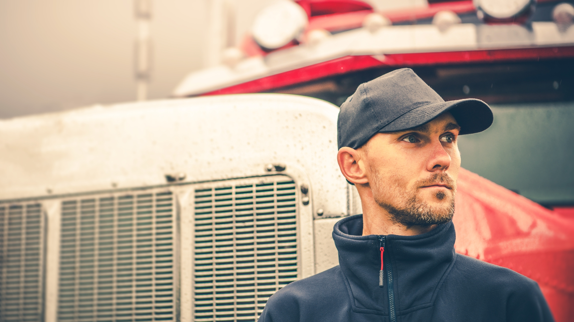 Dreamstime M 144756836 651ac3c7e9f53