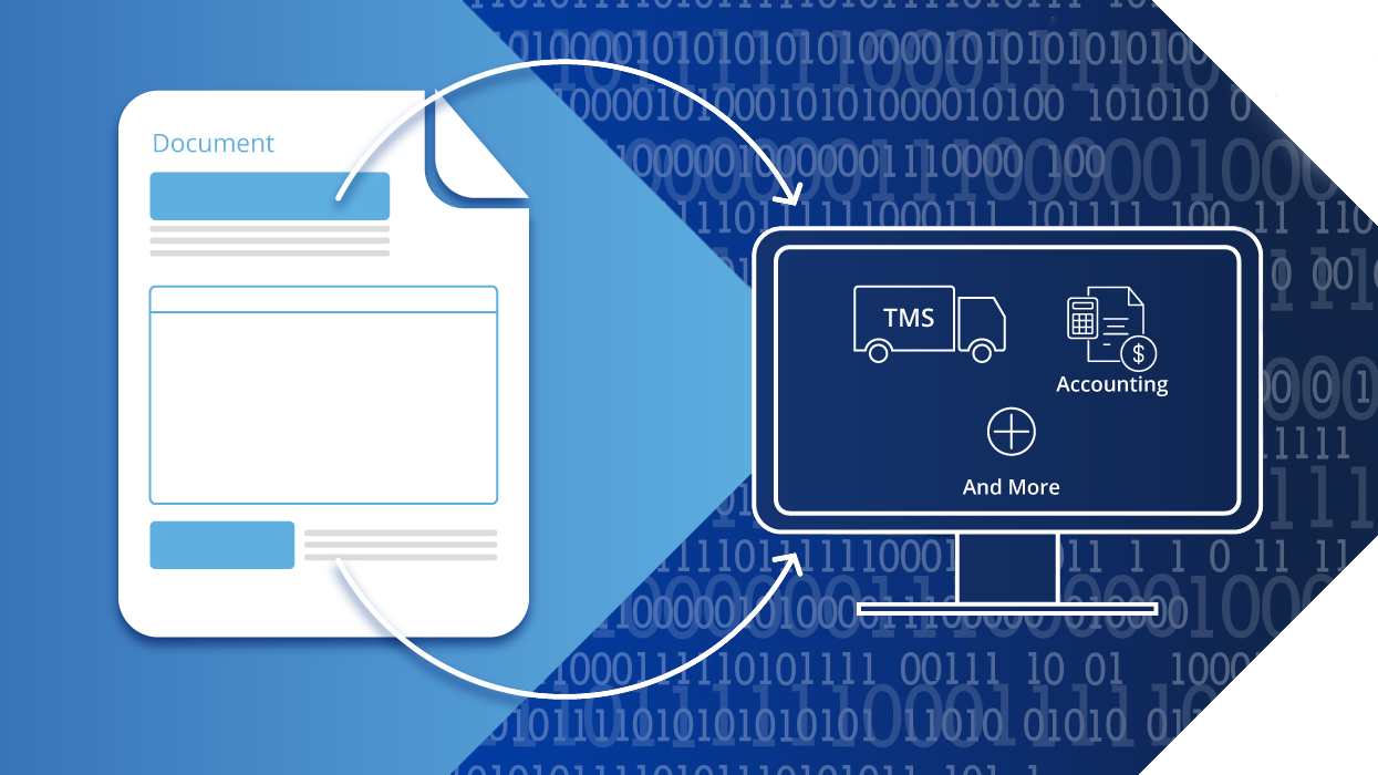 Auto Extraction 6543c91a8e454
