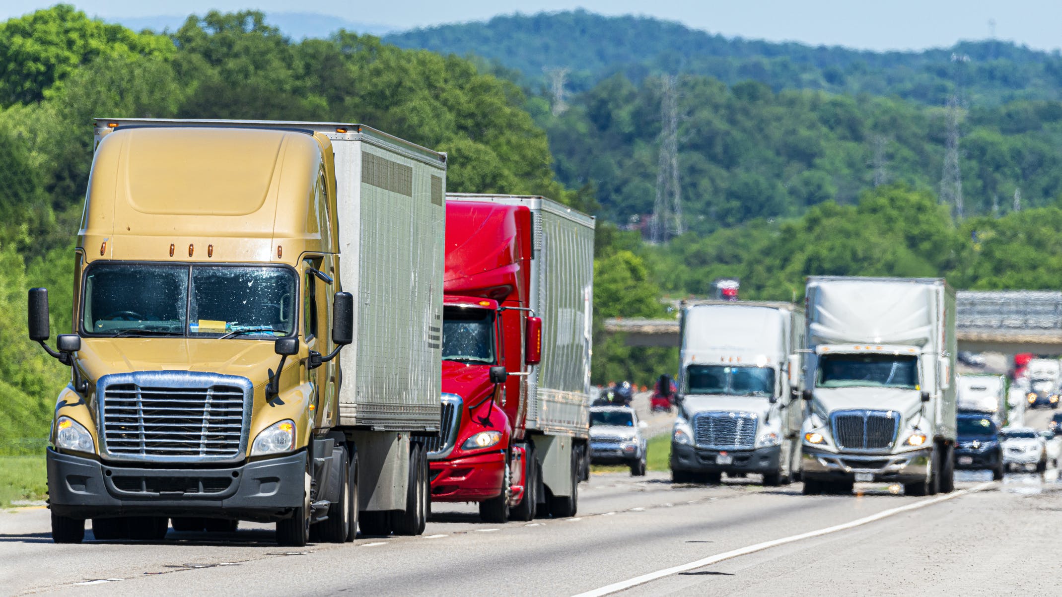 655d0ce71f37e3001ec28a3f Dreamstime M 168655578