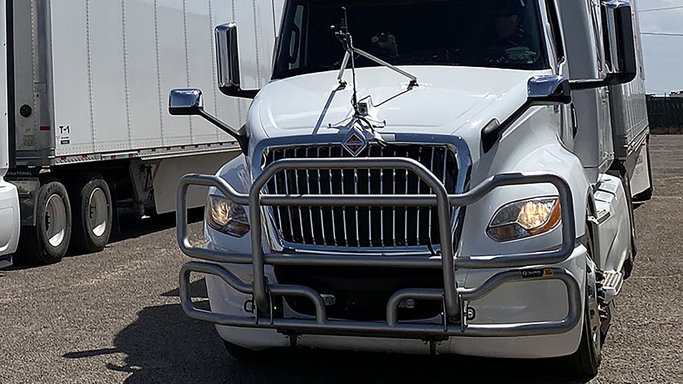 65772738802b09001e67784e Exguard Grille Guard