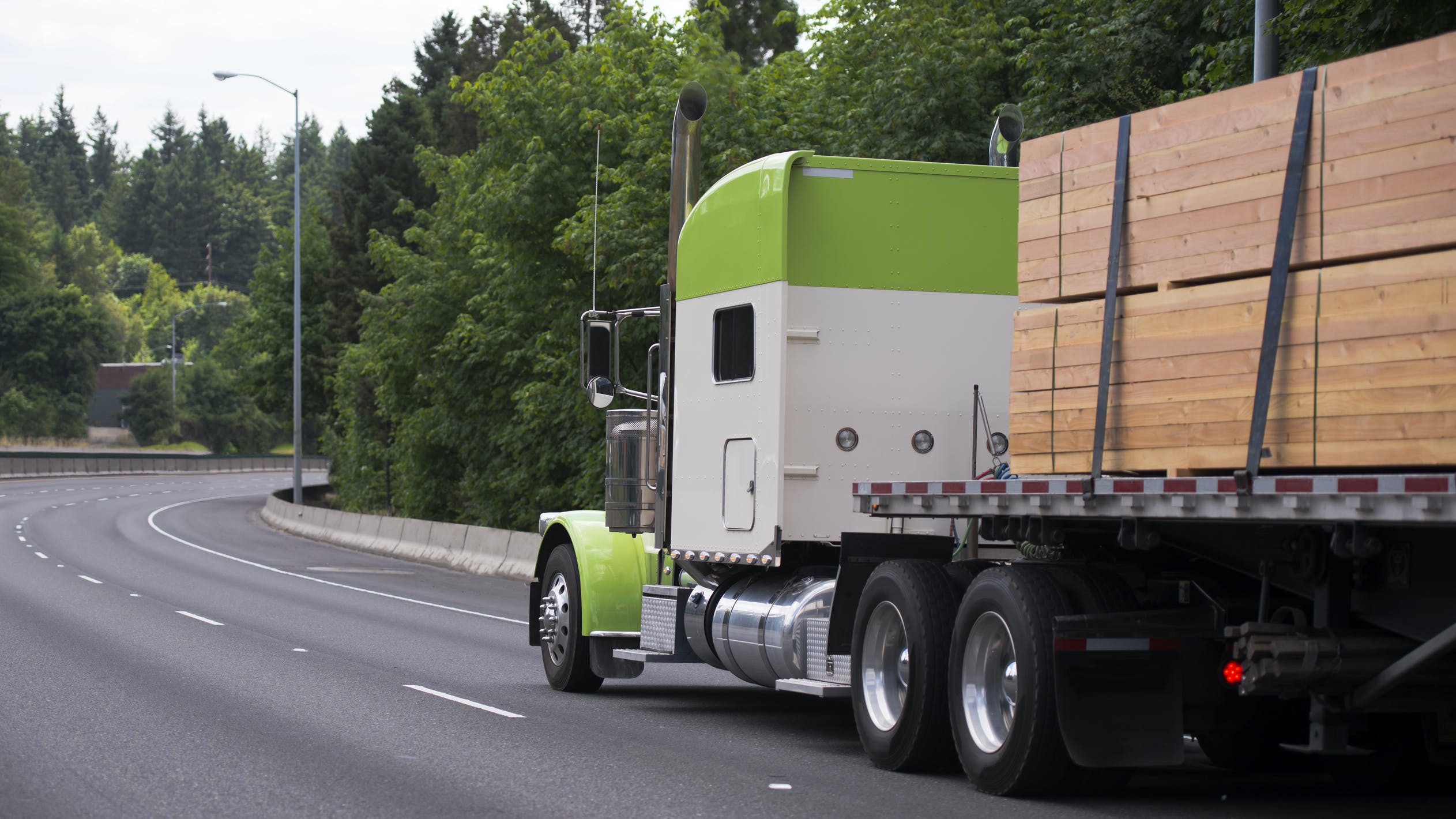 6578c25abe94e0001e0560a0 Dreamstime L 96665452