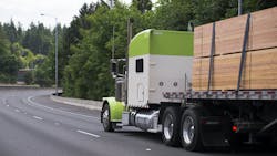 6578c25abe94e0001e0560a0 Dreamstime L 96665452 6578c25abe94e0001e0560a0 Dreamstime L 96665452